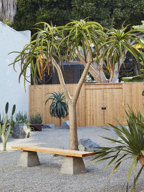 Landscape Architecture Design for a Desert Climate: A Zen Garden in Santa Monica Zen Plants, Vegetable Garden Design Ideas, Garden Corner Ideas, Zen Backyard, Sophisticated Garden, Japanese Style Garden, Courtyard Landscaping, Corner Ideas, Garden Corner