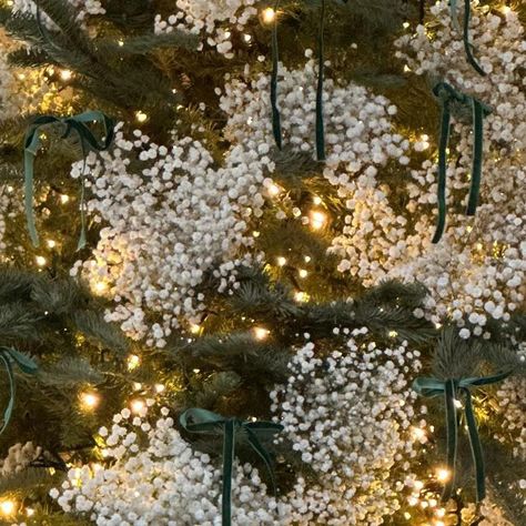 Helen Turkington Interior Design on Instagram: "Christmas tree finally up and this year I have decided to decorate it with beautiful gypsophila - thank you @homesandgardensofficial for the inspiration and @julietglaves for the design! Delighted with the result!! And of course I have to add a few green bows! #feelinglikechristmas #helenturkingtondesign #besttimeoftheyear" Christmas Tree With Gypsophila, Gypsophila Christmas Tree, Helen Turkington, Christmas Tree Inspo, Green Bows, Time Of The Year, Christmas Love, Christmas Decor Diy, Christmas Diy