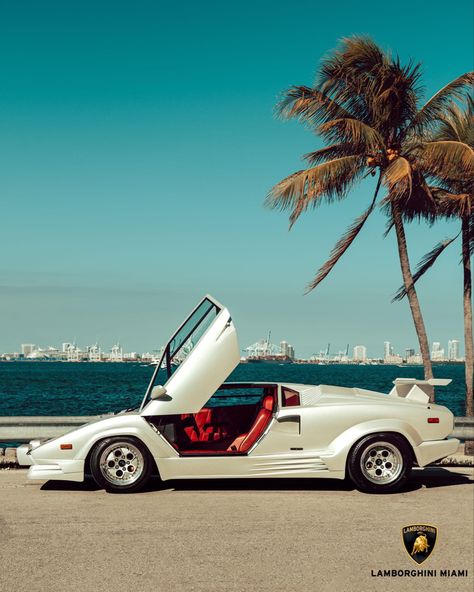 Vintage Lamborghini Aesthetic, 80s Cars 1980s, 80s Lamborghini, Lamborghini Countach Aesthetic, Lamborghini Aesthetic, Lamborghini Pics, Lamborghini Vintage, Vintage Lamborghini, Countach Lamborghini