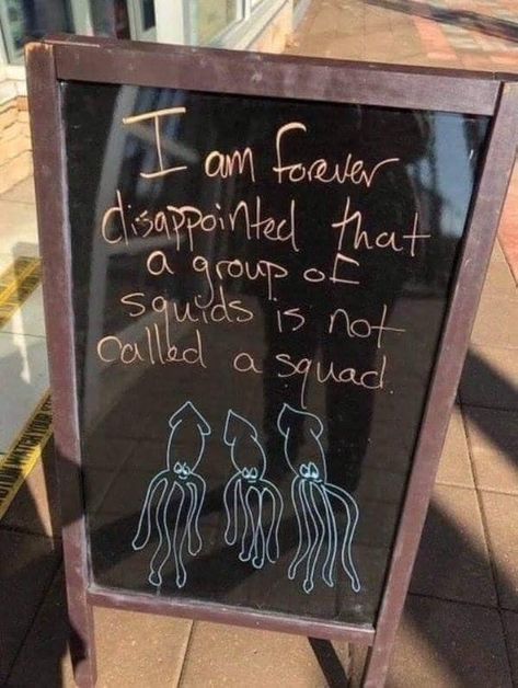 57 Memes So True There's No Point in Arguing With Them - Funny Gallery Signs For Kitchen, Anime Friends, Clean Memes, Work Memes, Dad Jokes, Funny Pins, Funny Signs, A Train, Funny Posts