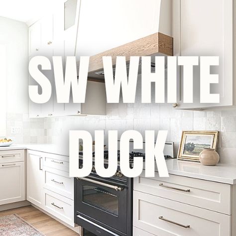 Sw White Duck Kitchen Cabinets, Sw Aesthetic White Cabinets, White Duck Vs Shoji White, Sw White Duck Coordinating Colors, Sw Cabinet Paint Colors, Sherwin Williams White Duck Cabinets, Sw White Duck Cabinets, Sw White Duck Walls, White Duck Sherwin Williams Cabinets