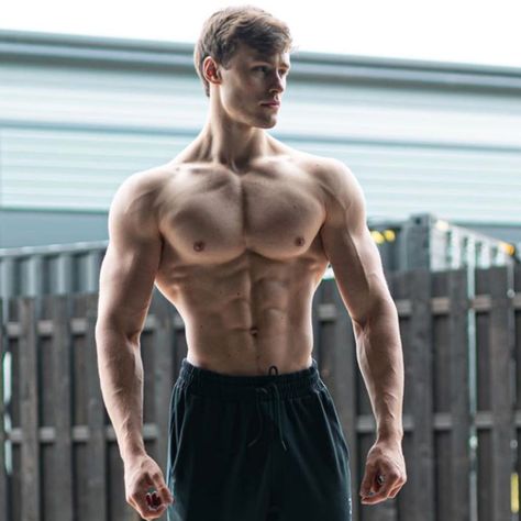 Gym Body Goals, Gym Outfits Aesthetic, Gym Outfit Ideas, David Laid, Food Gym, Jeff Seid, Fitness Friends, Gym Goals, Gym Guys