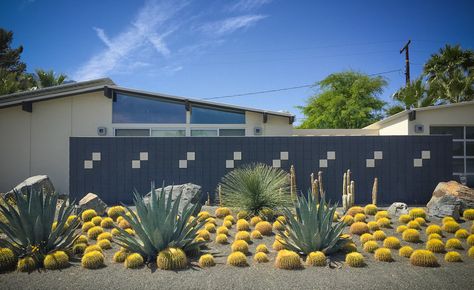 Desert-Inspired Mid-Century Modern Landscape: Our Big Yard Reveal — Mid Century Modern Interior Designer - Portfolio Desert Landscape Ideas, Palm Springs Landscaping, Desert Landscaping Ideas, Simple Landscaping Ideas, Home Landscaping Ideas, Mid Century Landscape, Dry Gardens, Cactus Gardens, Arizona Backyard