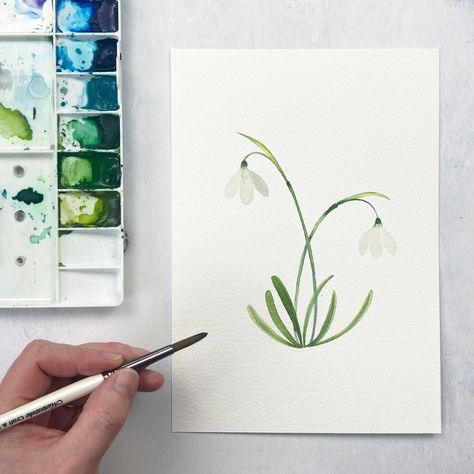 Learn to paint a delicate snowdrop in watercolour with my latest watercolour tutorial on youtube. Click the link to watch! #snowdrop #watercoloursnowdrop #watercolourflowers flower painting #watercolourtutorial #youtubetutorial Snowdrop Flower Watercolor, Snow Drop Watercolor, Snowdrop Watercolor Paintings, Snow Drop Flower Watercolor, Snow Drop Flower Painting, Snow Drop Painting, Snowdrop Flower Painting, Snowdrops Watercolour, Snowdrop Drawing