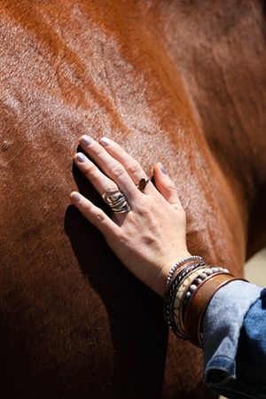 Horses that heal: how equine therapy is helping people find peace of mind | Science | The Guardian Equine Therapy Activities, Equine Assisted Therapy, Horse Massage, Horse Healing, Animal Assisted Therapy, Therapeutic Riding, Mind Psychology, Equine Massage, Animal Therapy