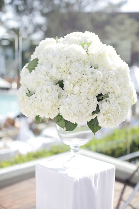 White Wedding Flowers Centerpieces, White Hydrangea Centerpieces, White Hydrangea Wedding, Romantic Wedding Style, Wedding Flowers Hydrangea, White Wedding Decorations, Hydrangea Centerpiece, White Centerpiece, Rustic Wedding Decorations