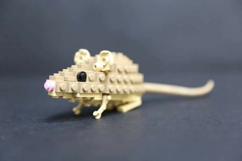 Lego Sculptures, Lego Christmas, Lego Diy, Lego Animals, Lego Activities, Amazing Lego Creations, Lego Craft, Lego Creative, Lego Pictures