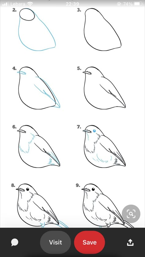 How To Draw Birds Step By Step Simple, How To Draw A Bird Step By Step, How To Draw A Bird, Bird Step By Step Drawing, Bird Drawing Tutorial, How To Draw Birds, Draw Birds, Watercolor Pencil Art, Drawing Birds