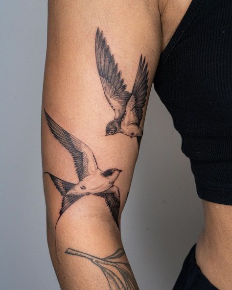 Some more angles of this one from a couple weeks ago! • • • #tattoo #tattooing #tattooartist #tattoos #art #drawing #tattooart… | Instagram Robin Hand Tattoo, Bird Tattoo Back Of Arm, Bird Arm Tattoos For Women, Cactus Wren Tattoo, Tattoo Ideas Birds, Bird Arm Tattoo, A Bird Drawing, 3 Birds Tattoo, Blue Bird Tattoo