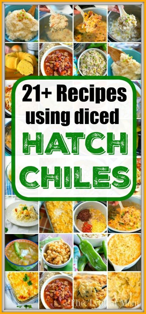 Hatch Chiles Recipes, Hatch Pepper Recipes, Hatch Green Chile Recipes, Casseroles Dinners, Hatch Green Chili Recipe, Creamed Corn Casserole Recipe, Hatch Chili Recipes, Hatch Peppers, Hatch Chile Recipes