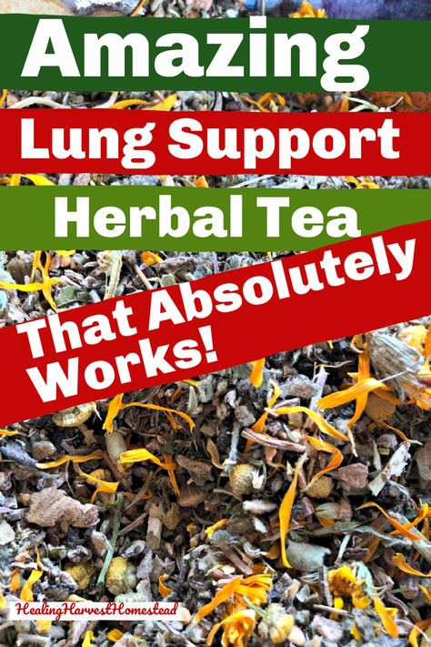 Lung Remedies, Lung Support, Home Apothecary, Tea Blends Recipes, Teas Recipes, Best Herbal Tea, Health Articles Wellness, Difficulty Breathing, Herbal Teas Recipes