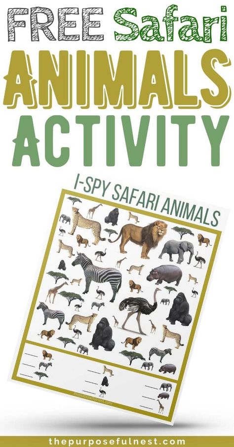 Teaching animals to preschool kids? A fun Safari Animals printable Seek-n-Find activity for preschool and early elementary-aged kids. Grab this fun activity for free. Safari Activities, Animal Activities For Kids, Animal Lessons, Activity For Preschool, Animals Printable, Space Camp, Animal Activities, Big 5, Center Ideas