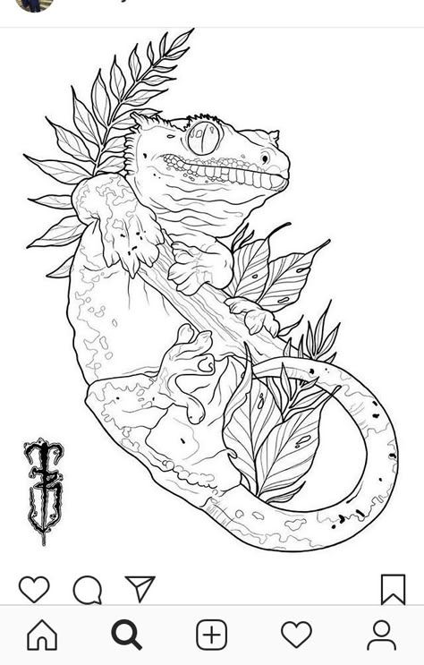 Odd Tattoo Ideas, Lizards Drawing, Animal Tattoo Stencil, Gecko Sketch, Crested Gecko Tattoo, Animal Tattoo Drawings, Neotraditional Tattoo Sketch, Crested Gecko Drawing, Reptile Tattoo Ideas