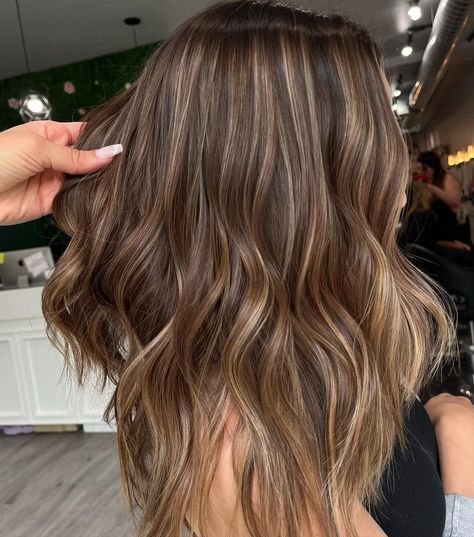 Light Brown Hair With Blended Highlights, Natural Highlights In Brown Hair, Blonde Hilights In Brown Hair, Highlights Brown Hair Partial, Brunette Honey Blonde Highlights, Blonde Highlights On Brown Hair Inspo Pics, Brown Hair With Soft Blonde Highlights, Very Little Highlights Brown Hair, Cute Highlights On Brown Hair