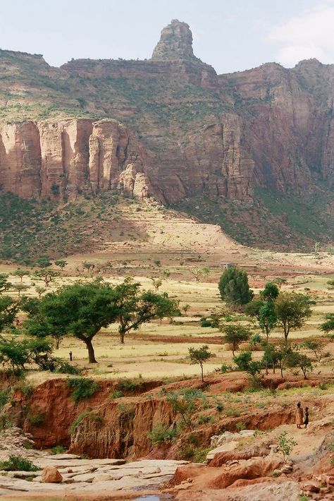 West African Landscape, Africa Forest, Ethiopia Landscape, African Mountains, South African Landscapes, South Africa Mountains, African Plains, African Landscape, Africa Photography