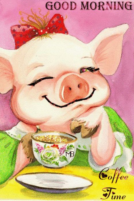 GOOD MORNING ♡♥♡ Pig Images, Christmas Humor Ecards, Pig Painting, Pig Drawing, Pig Illustration, Pig Art, Quotes Good Morning, Morning Funny, Good Morning Funny