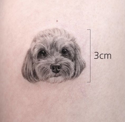 Puddle Tattoo Dog, Cavapoo Tattoo Ideas, Cavapoo Tattoo, Puddle Tattoo, Cat Back Tattoo, Toy Poodle Tattoo, Dog Ear Tattoo, Simple Cat Tattoo, Poodle Tattoo