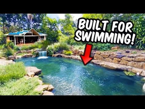 Natural SWIMMING Pool/Pond with Aquarium Fish - YouTube Diy Natural Pool, Diy Pond Pool, Natural Pools Backyard Swimming Ponds, Fish Ponds Backyard, Diy Ponds Backyard, Swimming Ponds, Pool Plumbing, Swimming Pool Pond, Pool Pond