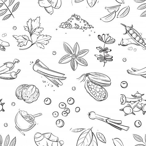 Spices Doodle, Spices Drawing, Spices Illustration, Spices Vector, Plant Doodle, Nature Logo Design, Food Doodles, Food Backgrounds, Flower Food