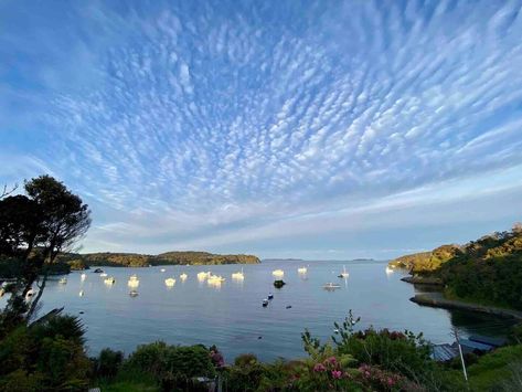 Stewart Island, New Zealand: What To Do, Where To Go, and Where To Stay Night Book, Native Garden, New Zealand Travel, South Island, Dark Skies, Day Hike, Walking In Nature, Wild Birds, Hiking Trails