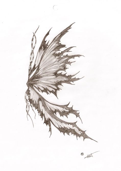 Fairy wing by TheooDore.deviantart.com Wings Side View Drawing, Wings Drawing Side View, Torn Drawing, Dragon Fairy Wings, Dark Wings Tattoo, Faerie Wings Tattoo, Dark Butterfly Drawing, Dragon Wings Drawing, Dragon Wing Tattoo