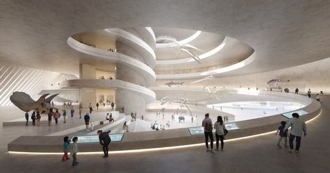 Natural Science Museum, Construction Area, Nature Museum, Design Management, Natural History Museum, Science Museum, Zaha Hadid, Design Competitions, Aarhus