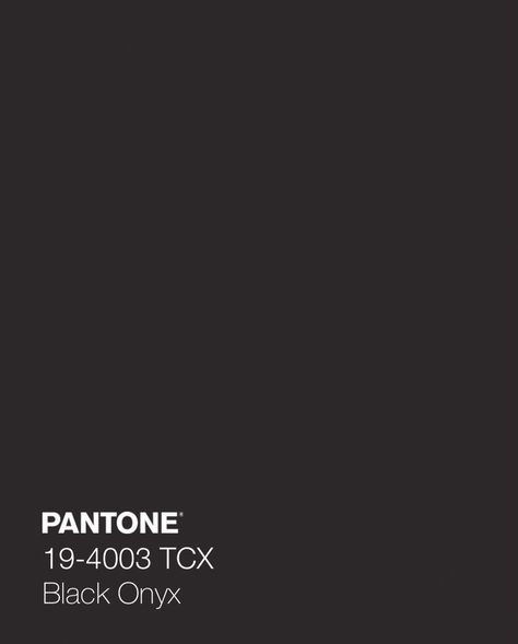 Onyx Color Palette, Pantone Shades, Pantone Color Swatches, Pantone Black, Studio Vibes, Onyx Color, Fashion Design School, Darkest Black Color, Onyx Colour