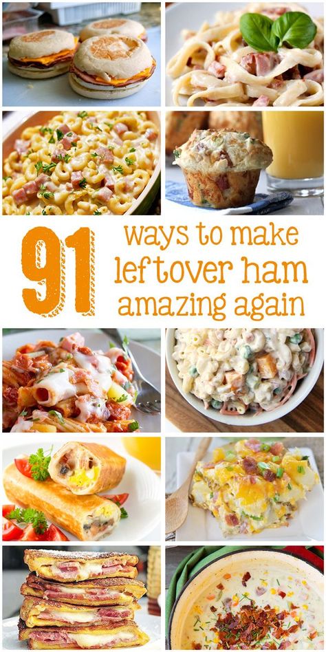 91 leftover ham recipes all in one place??? This is the definitive guide to what you can do with your leftover ham. I want to make a ham now just so I have the leftovers to try in these dishes. Find your new favorite ham dish now! Packable Lunches, Leftover Easter Ham, Ham Leftovers, Ham Dishes, Easter Ham, Leftover Recipes, Leftover Ham Recipes, Christmas Ham, Christmas Recipe