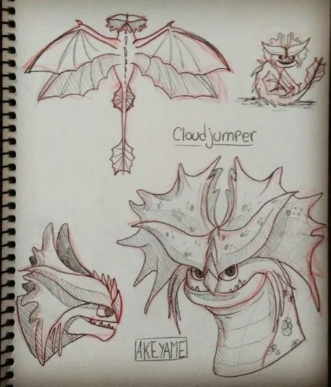 Stormcutter Dragon Drawing, Cloudjumper Drawing, Httyd Sketches Dragons, Httyd Book Of Dragons Pages, How To Train Your Dragon Drawings, Book Of Dragons Httyd, Httyd Drawings, Toothless Drawing, Dragon Project