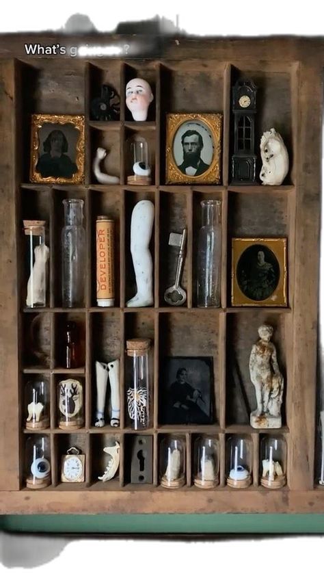 Dark Academia Room Ideas, Trinket Shelf, Oddities Collection, Cloche Ideas, Oddities Decor, Oddities And Curiosities, Instagram Posting, Curio Shelf, Curiosity Cabinet