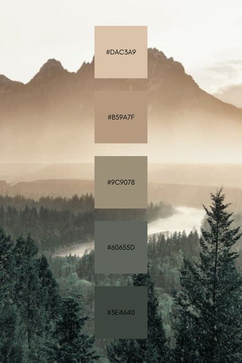 Muted Natural Color Palette, Ew Aesthetic, Color Palette For Kitchen, Seeds Color Palette, Earth Colour Palette, Sophisticated Color Palette, Color Design Inspiration, House Color Palettes, Color Schemes Colour Palettes