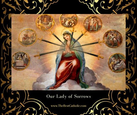 7 Sorrows Of Mary, Mathias Lauridsen, Holy Hour, Jesus In The Temple, Salve Regina, Way Of The Cross, Crucifixion Of Jesus, Mama Mary, Catholic Images