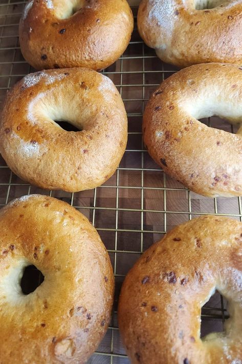 Onion Bagels Onion Bagels Recipe Homemade, Onion Bagel Recipe, Bagels Sweet, Bagels Recipe Homemade, Onion Bagel, Bagels Recipe, Bagel Bread, Sourdough Bagels, Cheese Bagels