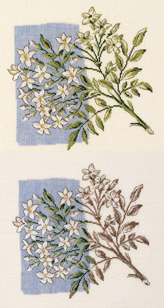 Gallery.ru / Фото #1 - BK 203 Jasmine - mtecuka Jasmine Flower, Cross Stitch Flowers, White Flowers, Cross Stitch, Embroidery, Flowers, White, Quick Saves, Art