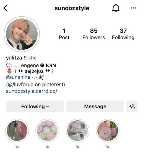 Sunoo Bio Ideas, Enhypen Instagram Layout, Enhypen Bio Ideas, Sunoo Instagram, Instagram Account Ideas, Insta Stickers, Ig Bio, Pc Scan, Insta Bio