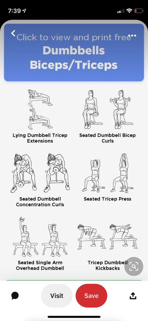 Dumbbell Bicep Curl, Concentration Curls, Biceps And Triceps, Bicep Curls, Health