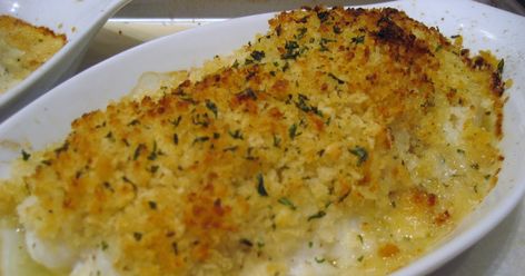 Baked Scrod Recipe, Scrod Recipe, Baked Scrod, Baked Orange Roughy, Baked Haddock, Orange Baking, Sour Cream Sauce, Panko Crumbs, Lemon Herb