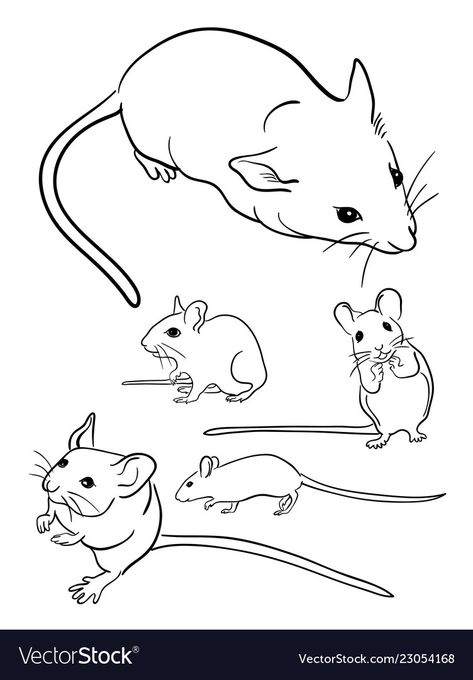 Mouse Drawing, Web Icons, Symbol Logo, Transparent Png, Mice, Designs To Draw, Png Images, Line Art, Adobe Illustrator