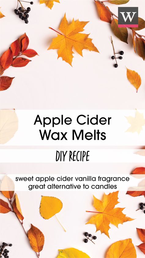 Wax Melter Diy, Wax Melts Diy, Soy Wax Melts Diy, Coffee Wax Melts, Melts Recipes, Diy Apple Cider, Wax Melts Recipes, Candle Holder Crafts, Diy Wax Melts