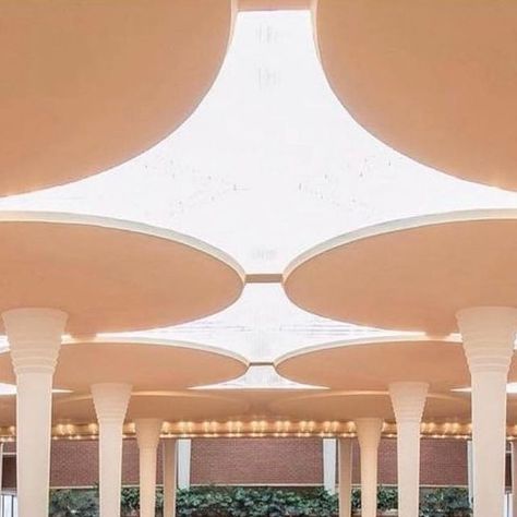 HAUS of T on Instagram: "Buildings No: 58
Johnson Wax Headquarters
Location: Racine, Wisconsin
Year: 1939
Architect: Frank Lloyd Wright
‌
Mushroom shaped columns, pyrex skylights and earthly coloured furnishings feature in Frank Lloyd Wright’s Johnson Wax Headquarters, an American manufacturer of household cleaning supplies. It was completed in 1939 in Racine, Wisconsin. Despite its location on an industrial park, Wright designed the building in his organic architecture style with references to natural forms, like his open plan office space which is described as “forest-like”. Called the Great Room, the double height space feature tree-like columns that sprout from 23 cm diameter base and widen to create lily-pad shaped concrete tops.
‌
📸 Photos by @modarchitecture @iwanbaan @phdonohue @s Johnson Wax Headquarters, Double Height Space, Feature Tree, Johnson Wax, Open Plan Office, Racine Wisconsin, Cool Buildings, Industrial Park, Double Height