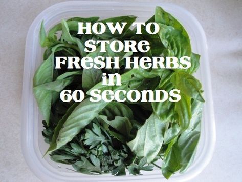 Freeze Herbs, Storing Basil, How To Store Tomatoes, Store Fresh Herbs, Storing Herbs, Herb Storage, Scratch Recipes, Garden Herbs, Vegetable Storage