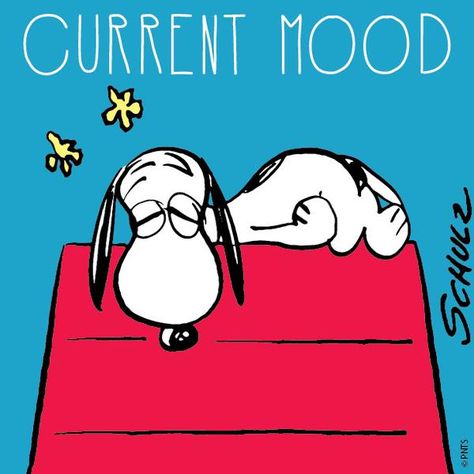 Snoopy Dog, Time Change, Peanut Gang, Snoopy Funny, Peanuts Snoopy Woodstock, Snoopy Images, Peanuts Cartoon, Snoopy Quotes, Peanuts Characters