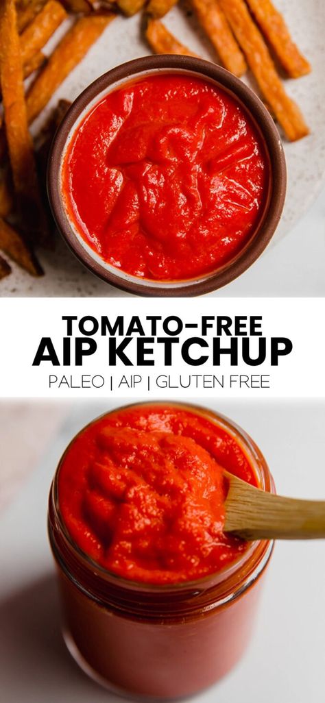 Tomato Allergy, Paleo Ketchup, Nightshade Free Recipes, Low Histamine Foods, Ketchup Recipe, Aip Paleo Recipes, Low Histamine Diet, Aip Diet, Aip Recipes