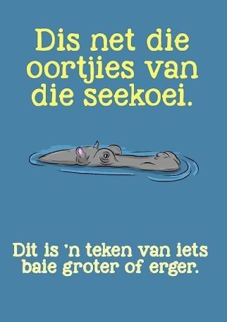 Afrikaans Idiome, Afrikaanse Idiome, Afrikaans Language, Owl Theme Classroom, Afrikaans Quotes, Inspirational Verses, School Games, Classroom Activities, Wise Quotes