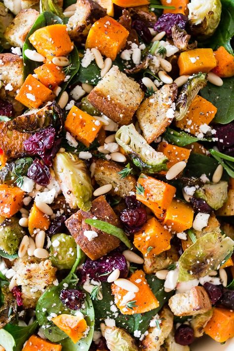 Homegrown Recipes, Thanksgiving Salads, Friendsgiving Brunch, Panzanella Salad Recipe, Fall Salads, Crouton Salad, 5 Dinners, Herb Vinaigrette, Christmas Salads