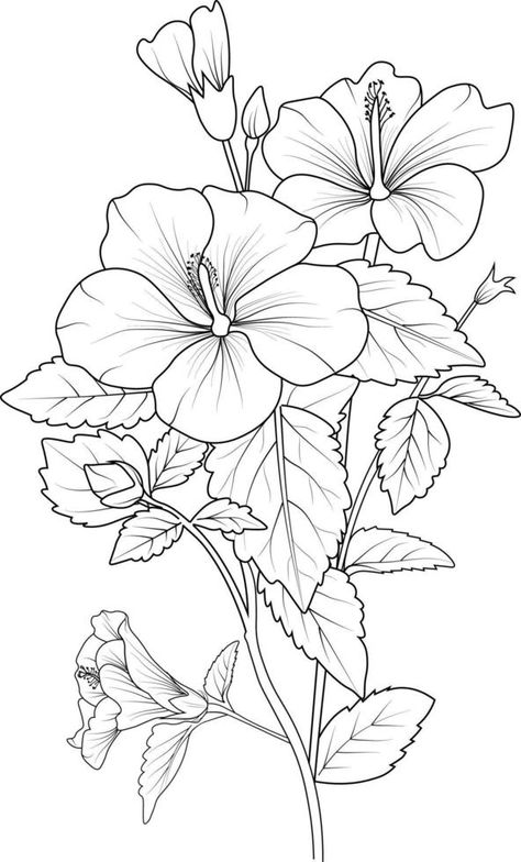 Beautiful hibiscus flower with leaves line art plant branch vector botanical illustration coloring books and page for children and adults. Easy Drawing Steps, Branch Vector, Flower Line Drawings, Flower Drawing Design, Flower Art Drawing, Flower Sketches, Flower Coloring Pages, Hibiscus Flower, Coloring Book Art