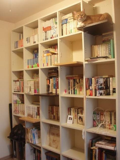 Cat Room Diy, Cat Room Decor, Katt Grejer, Cat House Diy, Cat Shelves, Book Wall, Living Room Shelves, Cute Room Ideas, Cat Room