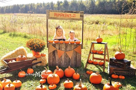 Lemonade Stand Photo Shoot, Halloween Mini Session, Pumpkin Patch Birthday, Pumpkins For Sale, Fall Backdrops, Pumpkin Stand, Photo Halloween, Pumpkin Stands, Pumpkin Pictures