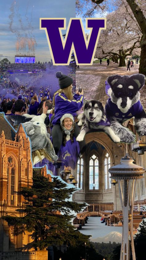 go huskies 🐾 Uw Huskies, Seattle University, University Of Washington Huskies, Future Vision, College Aesthetic, Dream College, Dream School, Washington Huskies, University Life