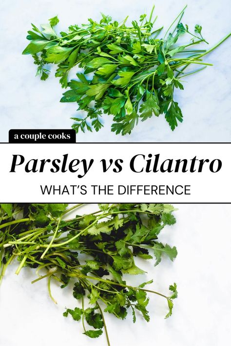 Parsley vs cilantro: what’s the difference between these fresh herbs? Can you substitute one for the other? Here’s the breakdown. | parsley recipes | cilantro recipes | herb recipes | #parsely #cilantro #parsleyvscilantro Best Salsa Recipe, Creamy Cilantro Dressing, Parsley Recipes, Cilantro Recipes, Quinoa Tabbouleh, A Couple Cooks, Cilantro Lime Shrimp, Recipe Hacks, Cilantro Lime Sauce